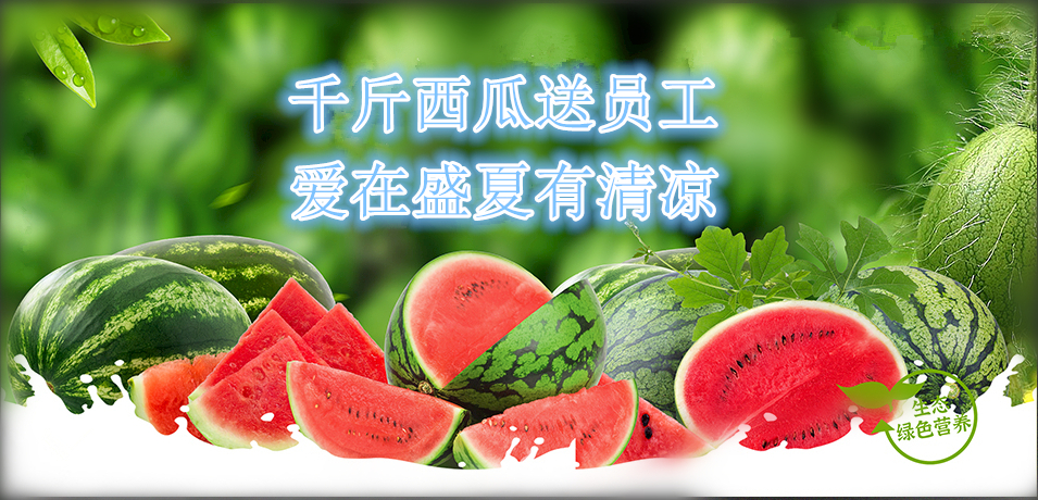 通達(dá)軟件公司： 千斤西瓜送員工，愛在盛夏有清涼